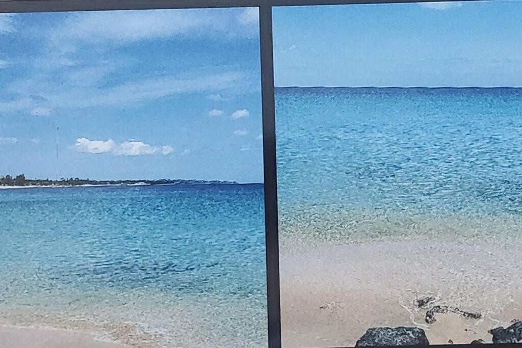Summer All Year! Oceanfront With Pool A/C Aguadilla Eksteriør billede