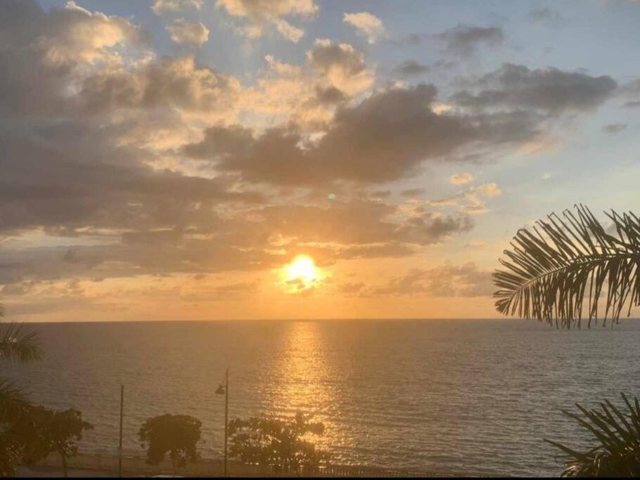 Summer All Year! Oceanfront With Pool A/C Aguadilla Eksteriør billede