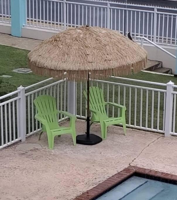 Summer All Year! Oceanfront With Pool A/C Aguadilla Eksteriør billede