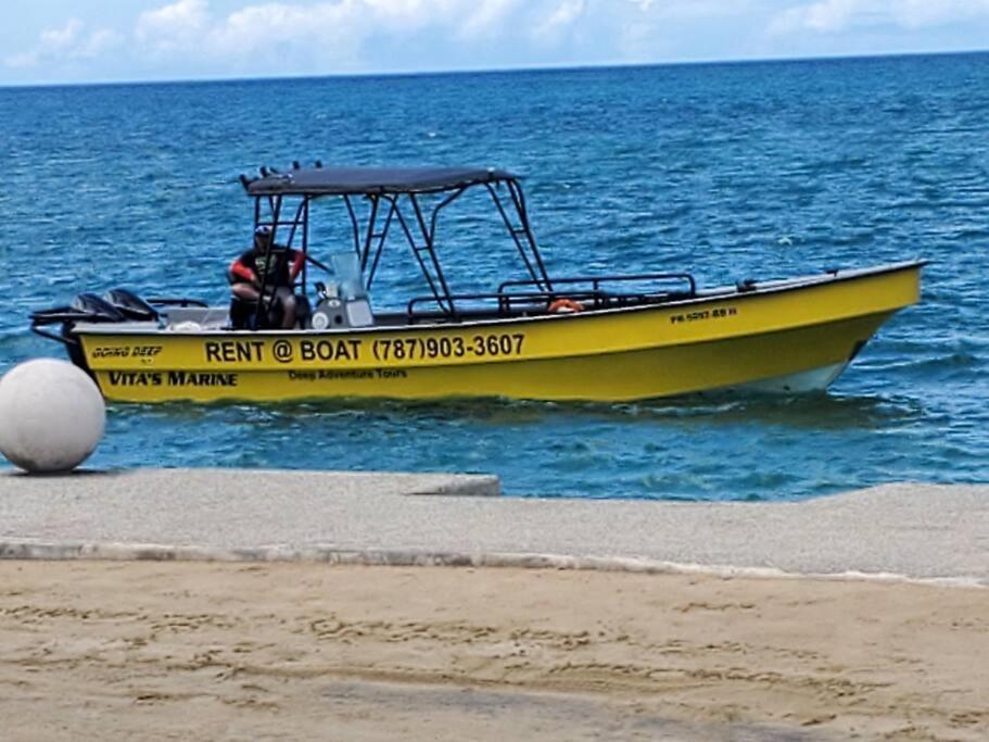 Summer All Year! Oceanfront With Pool A/C Aguadilla Eksteriør billede